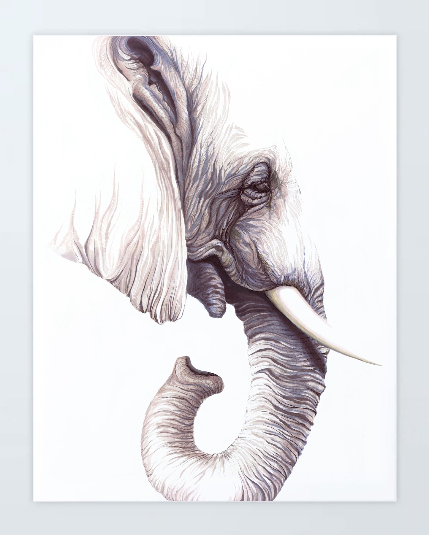 Elephant: Print