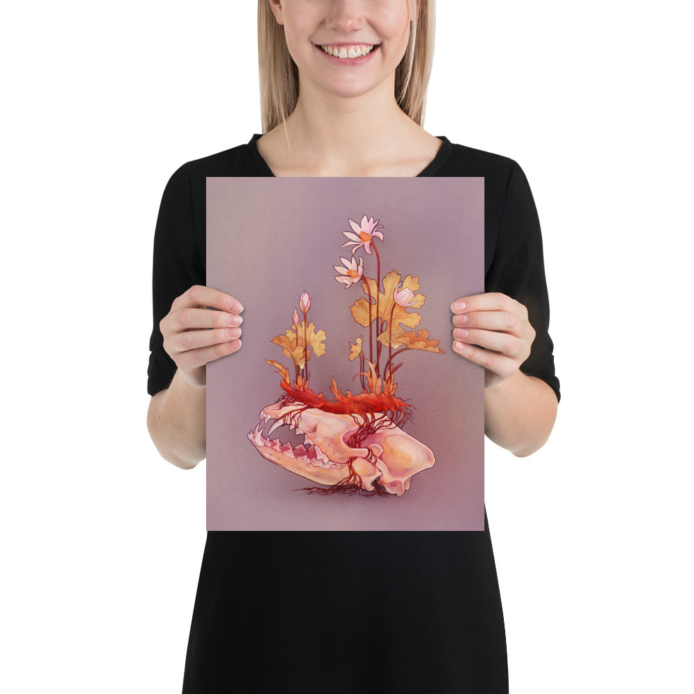 Bloodroot (Light): Print