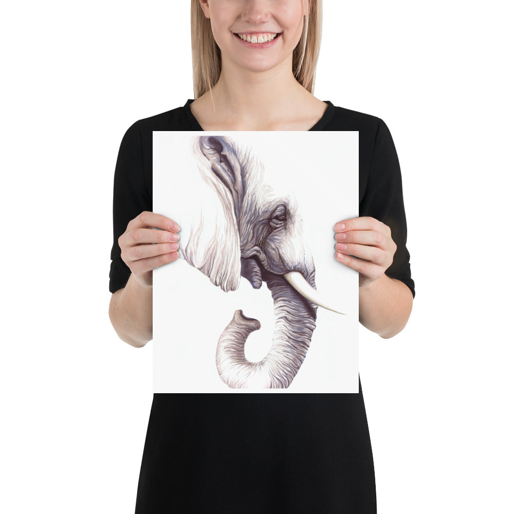 Elephant: Print