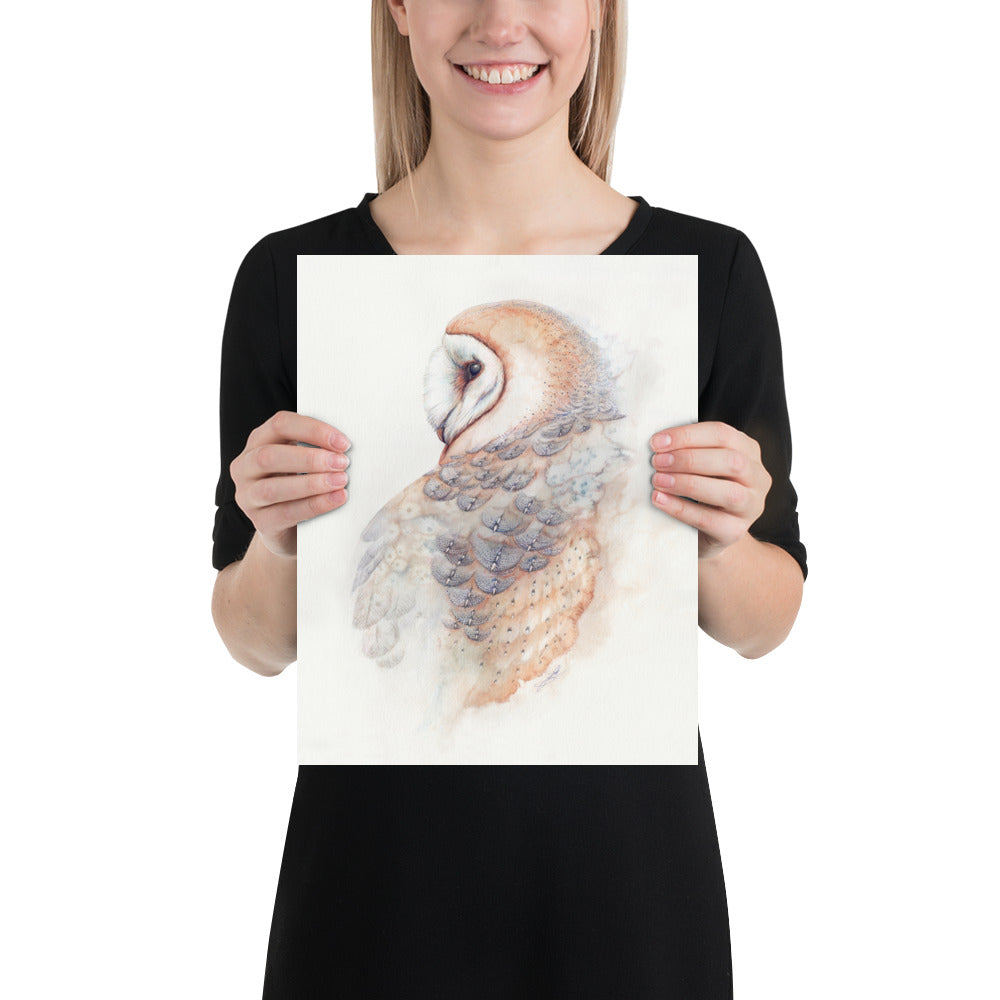 Barn Owl: Print