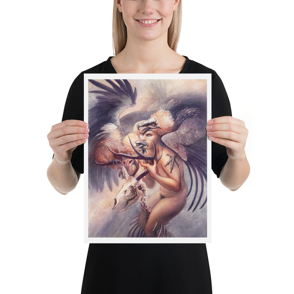 Lammergeier: Print