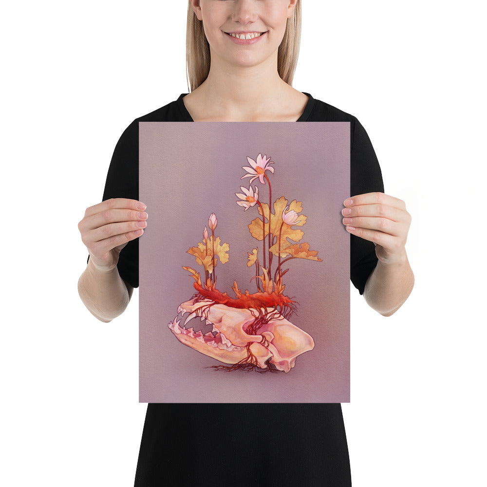 Bloodroot (Light): Print