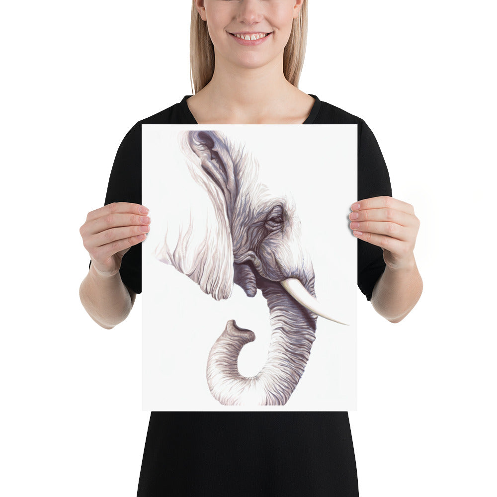 Elephant: Print