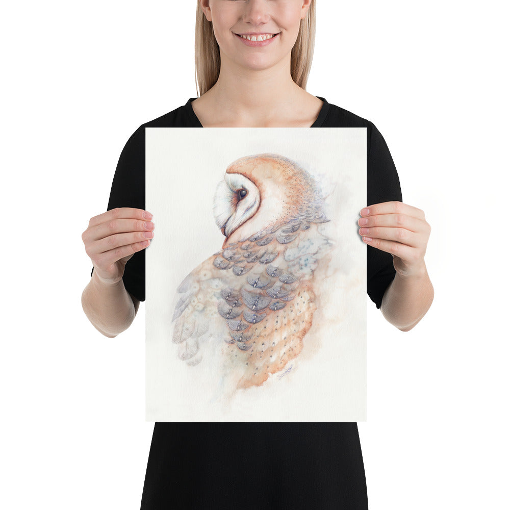 Barn Owl: Print