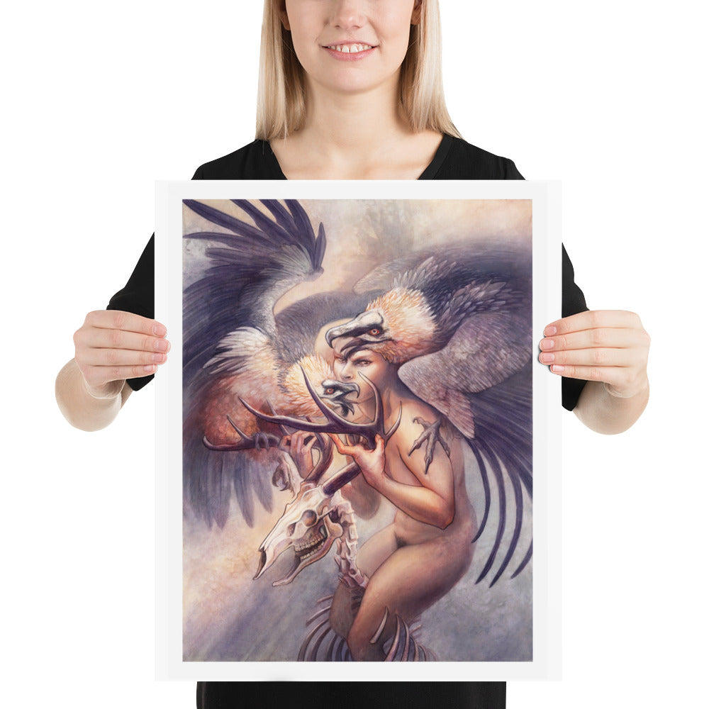 Lammergeier: Print