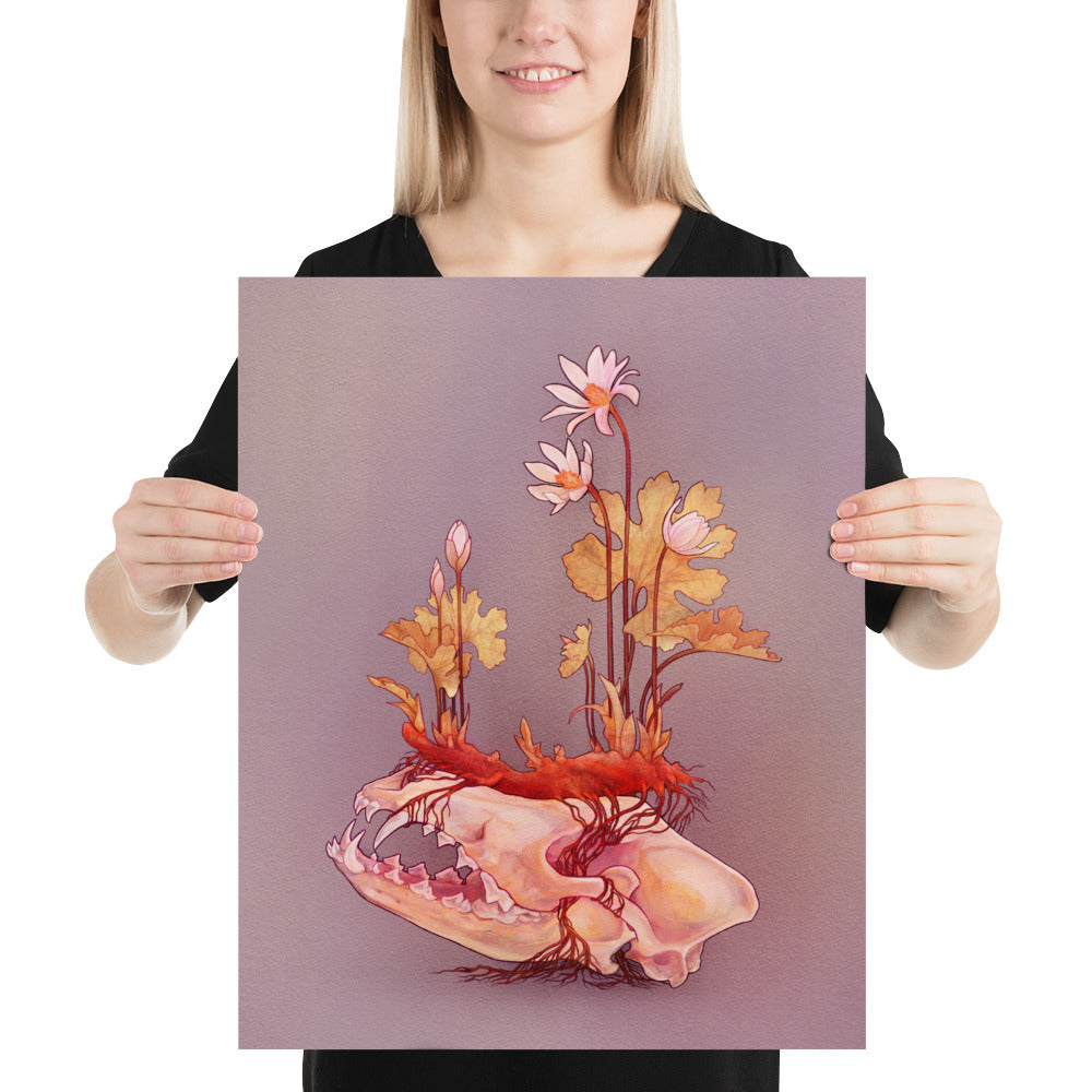 Bloodroot (Light): Print