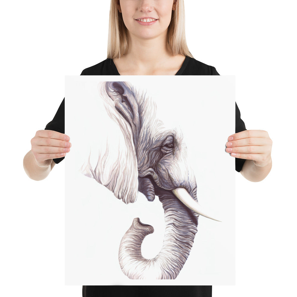 Elephant: Print