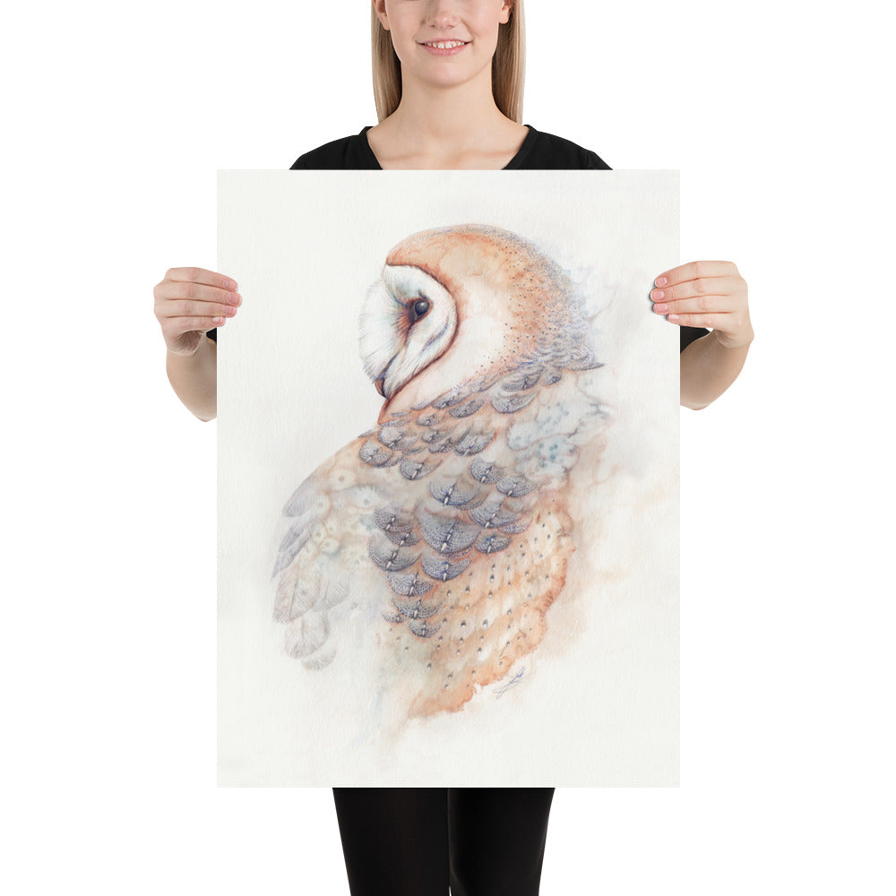 Barn Owl: Print
