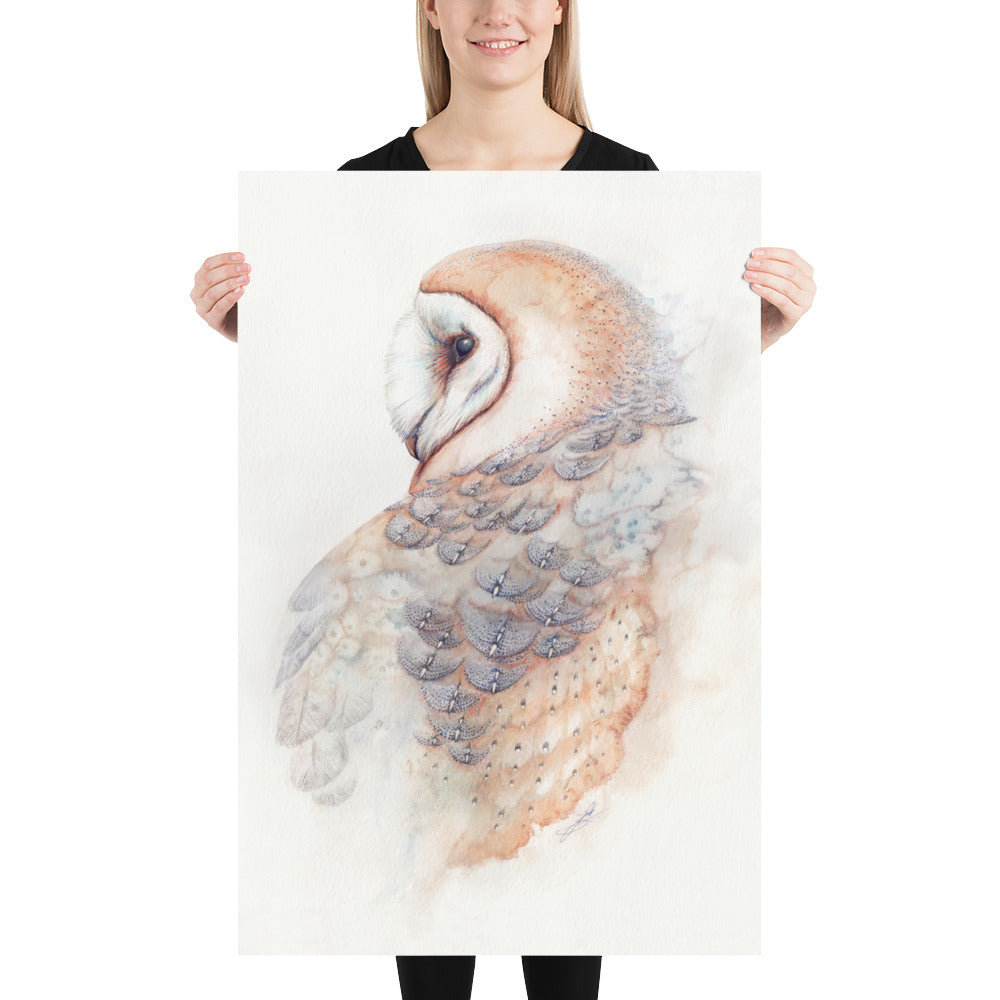 Barn Owl: Print
