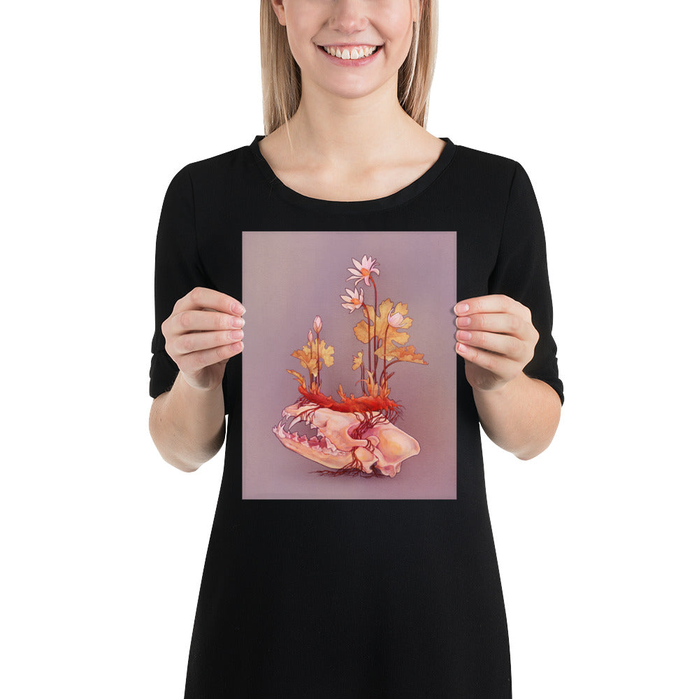 Bloodroot (Light): Print