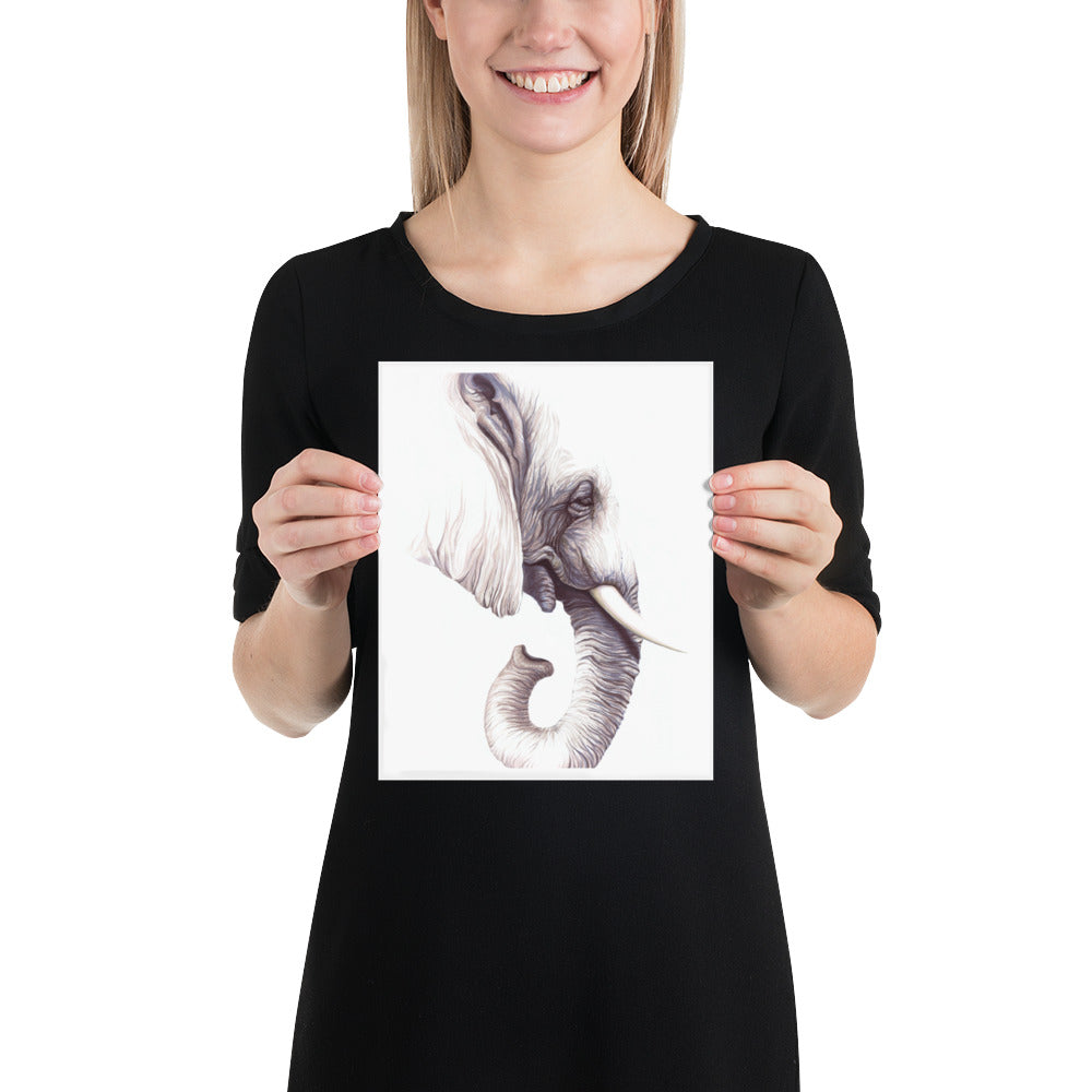 Elephant: Print