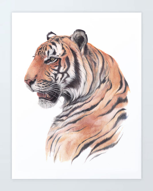 Tiger: Print