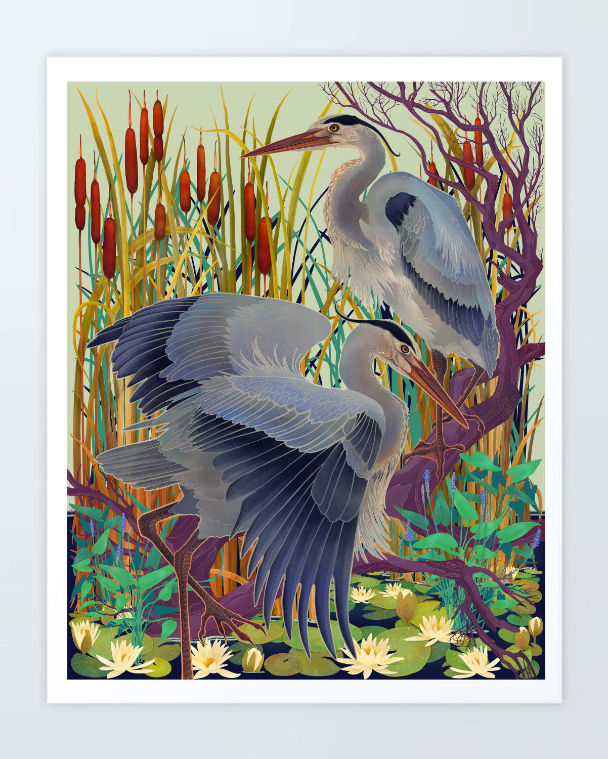 Herons at Rest: Print