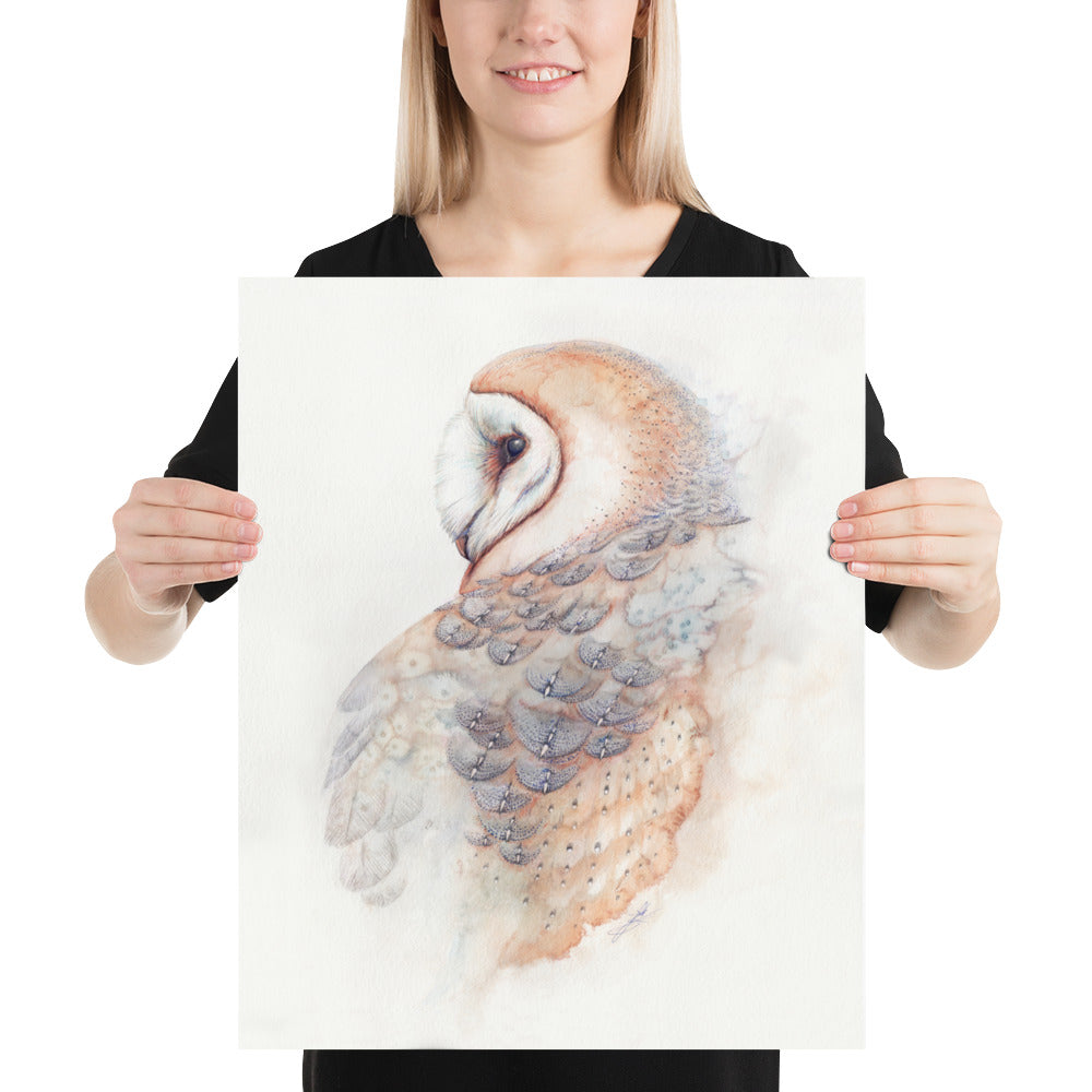 Barn Owl: Print