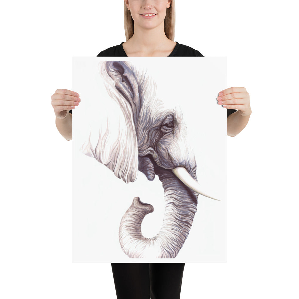 Elephant: Print