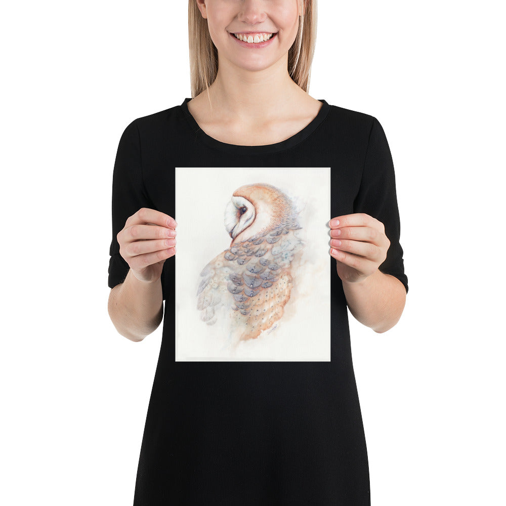 Barn Owl: Print