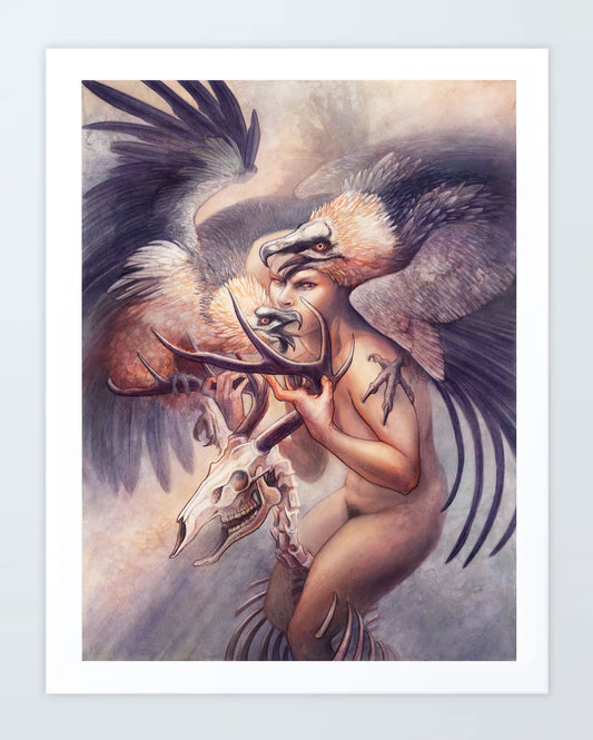 Lammergeier: Print