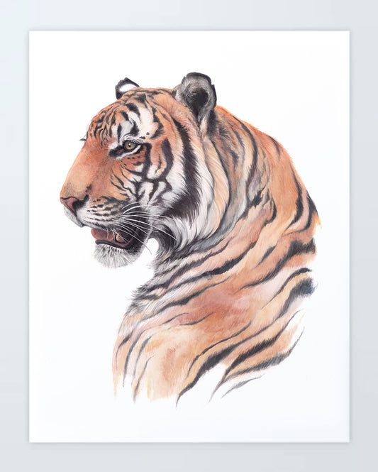 Tiger: Print